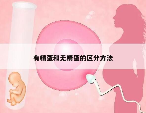 有精蛋和无精蛋的区分方法