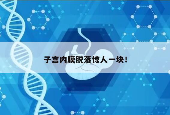 子宫内膜脱落惊人一块!