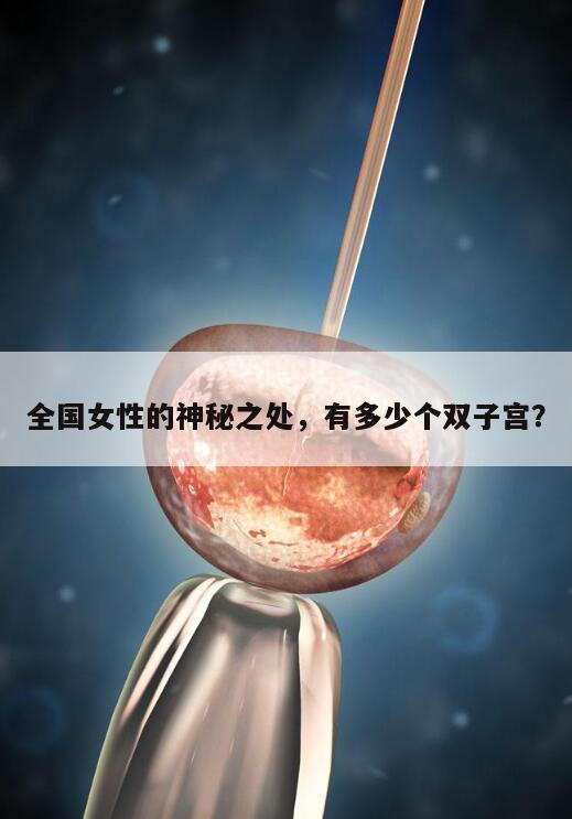 全国女性的神秘之处，有多少个双子宫？