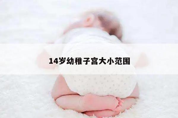 14岁幼稚子宫大小范围