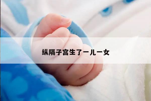 纵隔子宫生了一儿一女