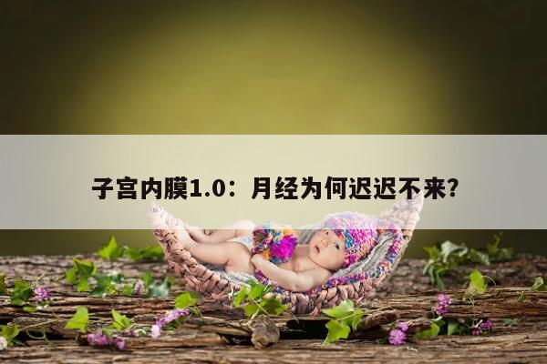 子宫内膜1.0：月经为何迟迟不来？