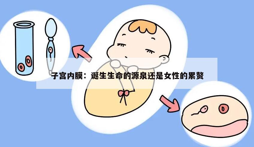 子宫内膜:诞生生命的源泉还是女性的累赘