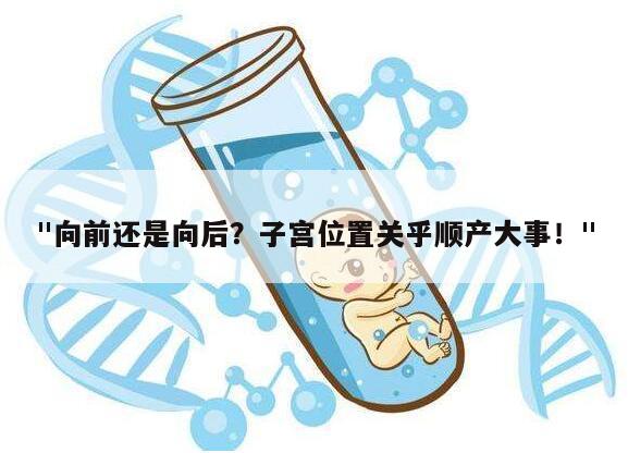 "向前还是向后?子宫位置关乎顺产大事!"