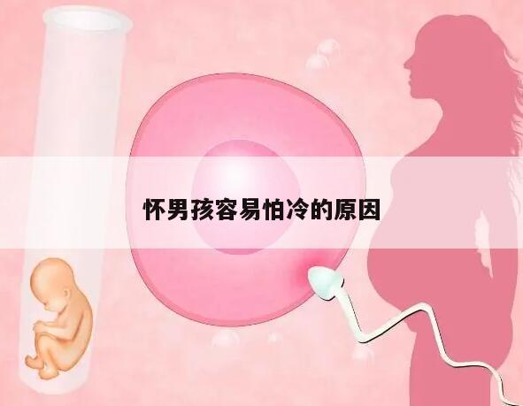 怀男孩容易怕冷的原因