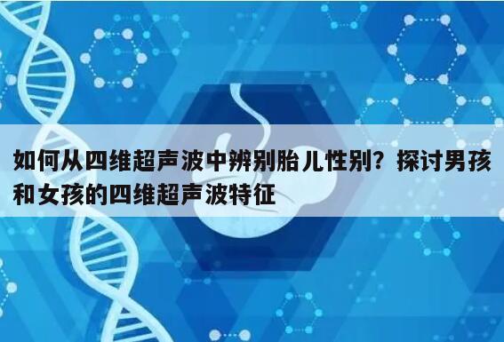 如何从四维超声波中辨别胎儿性别?探讨男孩和女孩的四维超声波特征