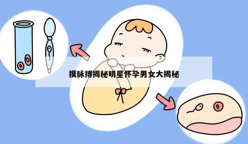 摸脉搏揭秘明星怀孕男女大揭秘