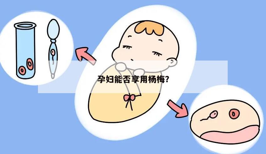 孕妇能否享用杨梅?