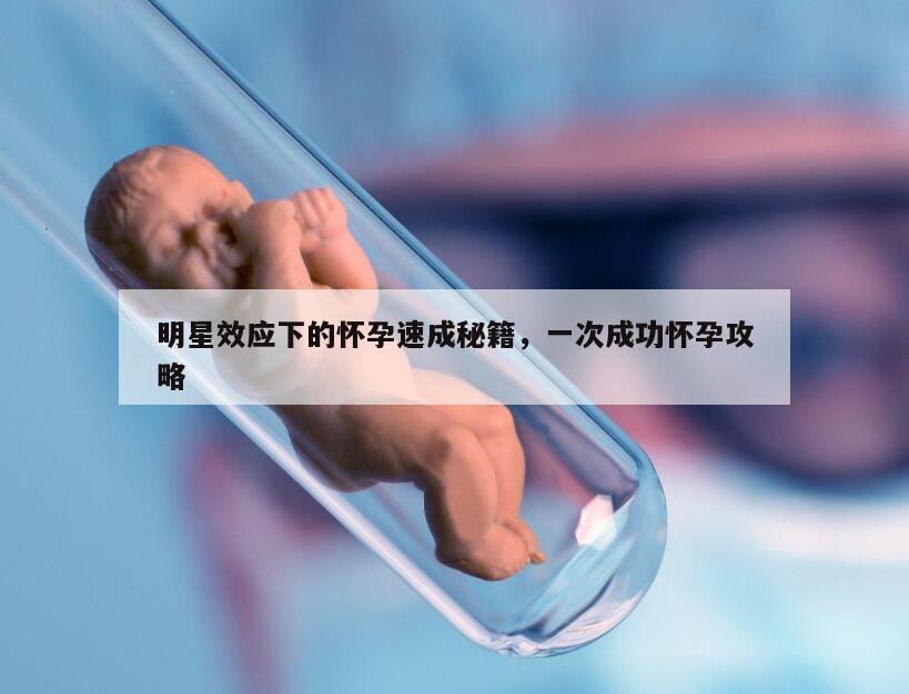 明星效应下的怀孕速成秘籍,一次成功怀孕攻略
