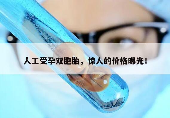 人工受孕双胞胎,惊人的价格曝光!