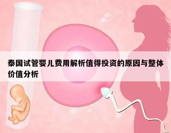 泰国试管婴儿费用解析值得投资的原因与整体价值分析
